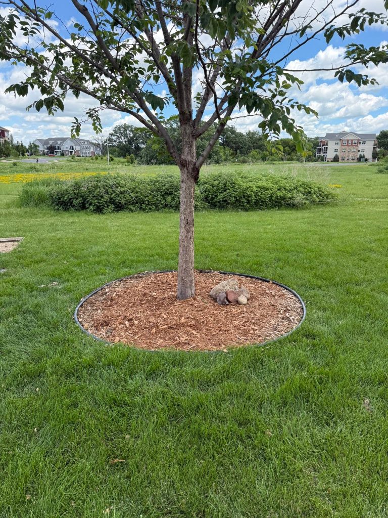 Mulch Renewal and Bed Extension
