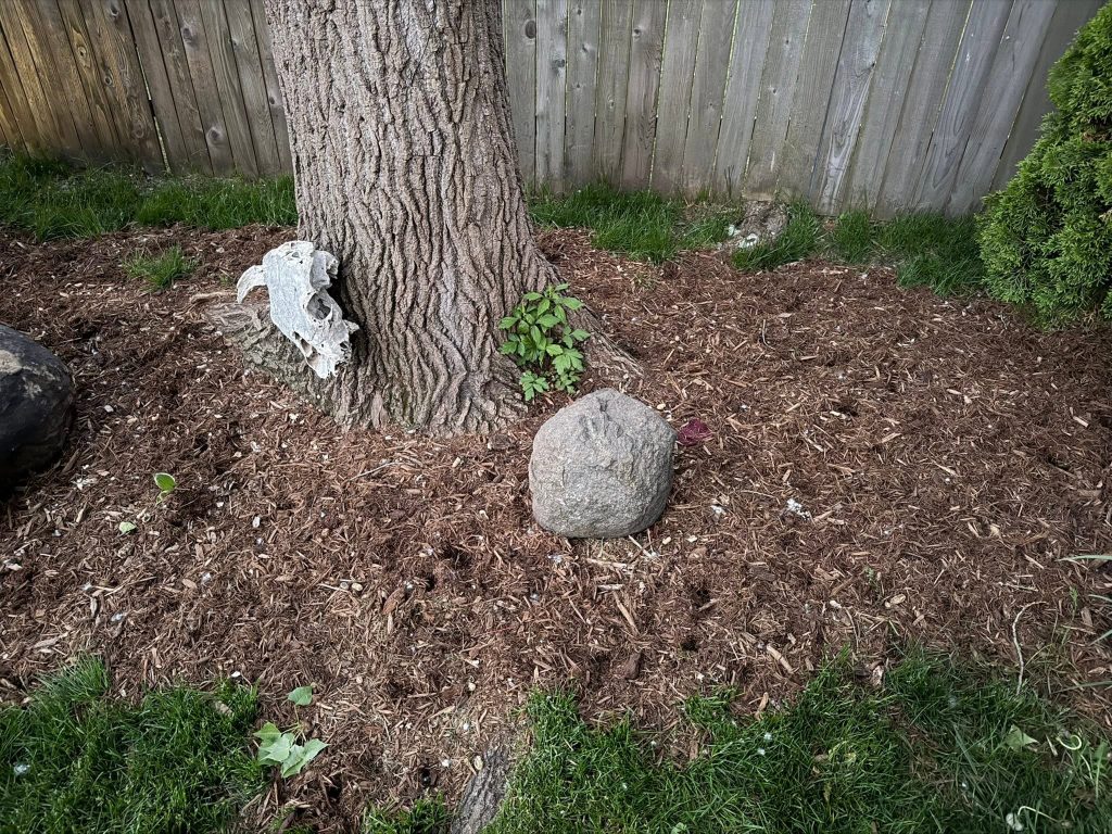 Mulch Renewal and Bed Extension