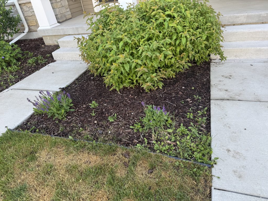Mulch Renewal