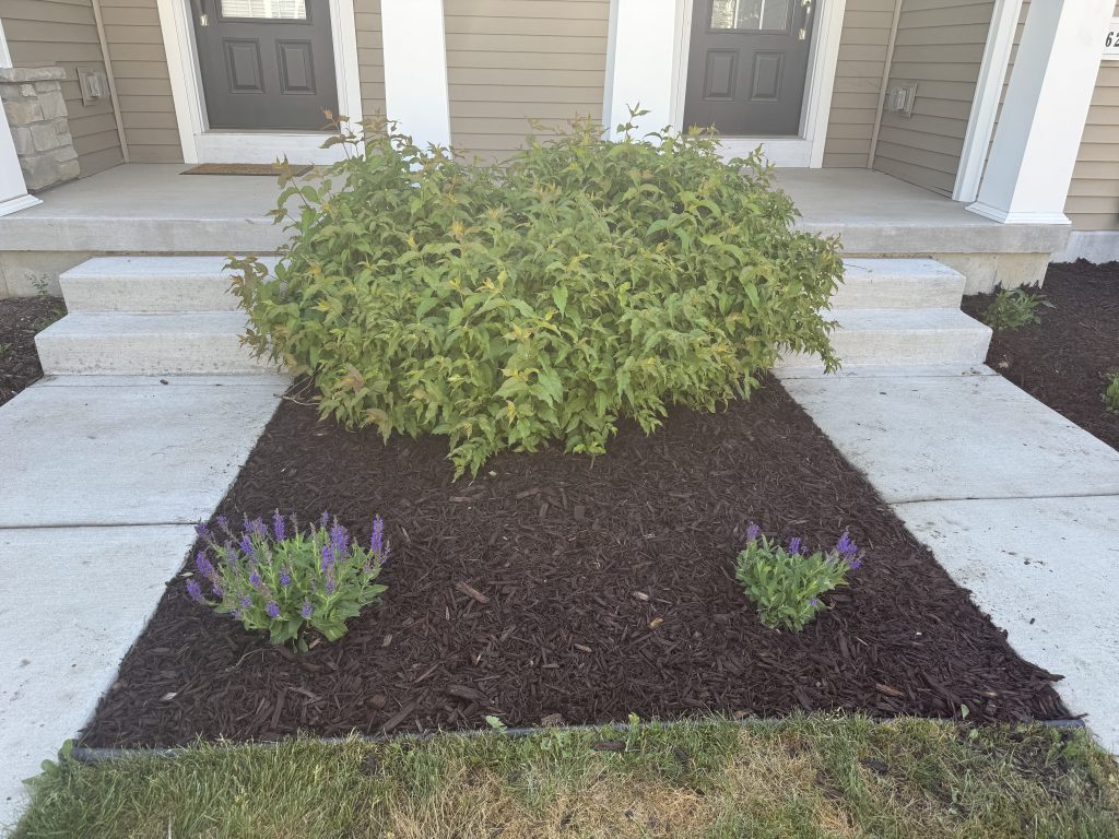 Mulch Renewal