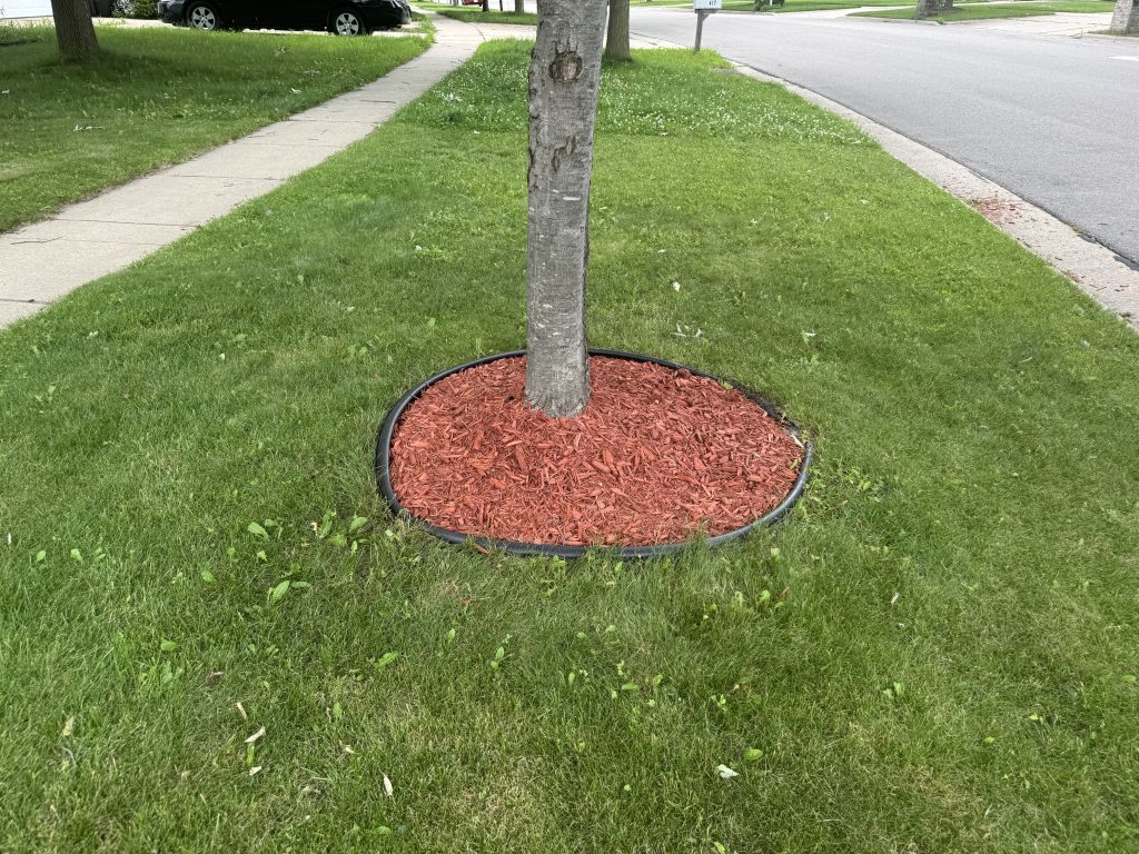 Rock to Mulch