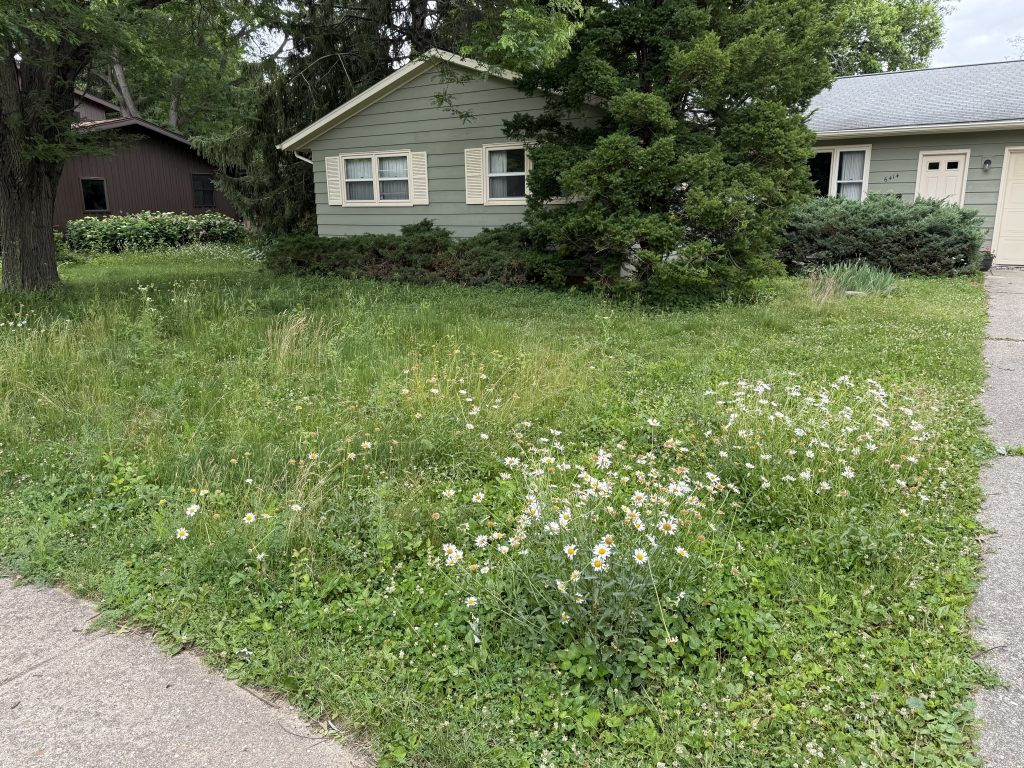 Mowing