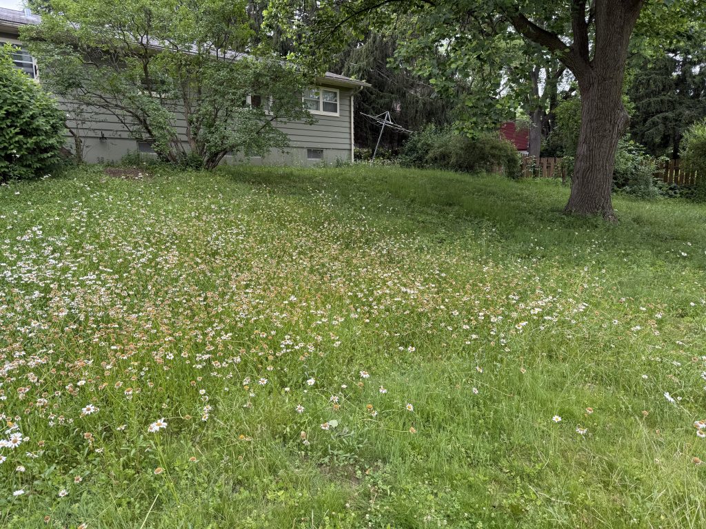 Mowing