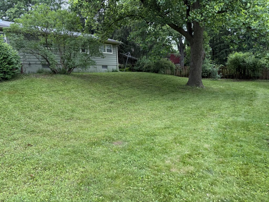 Mowing