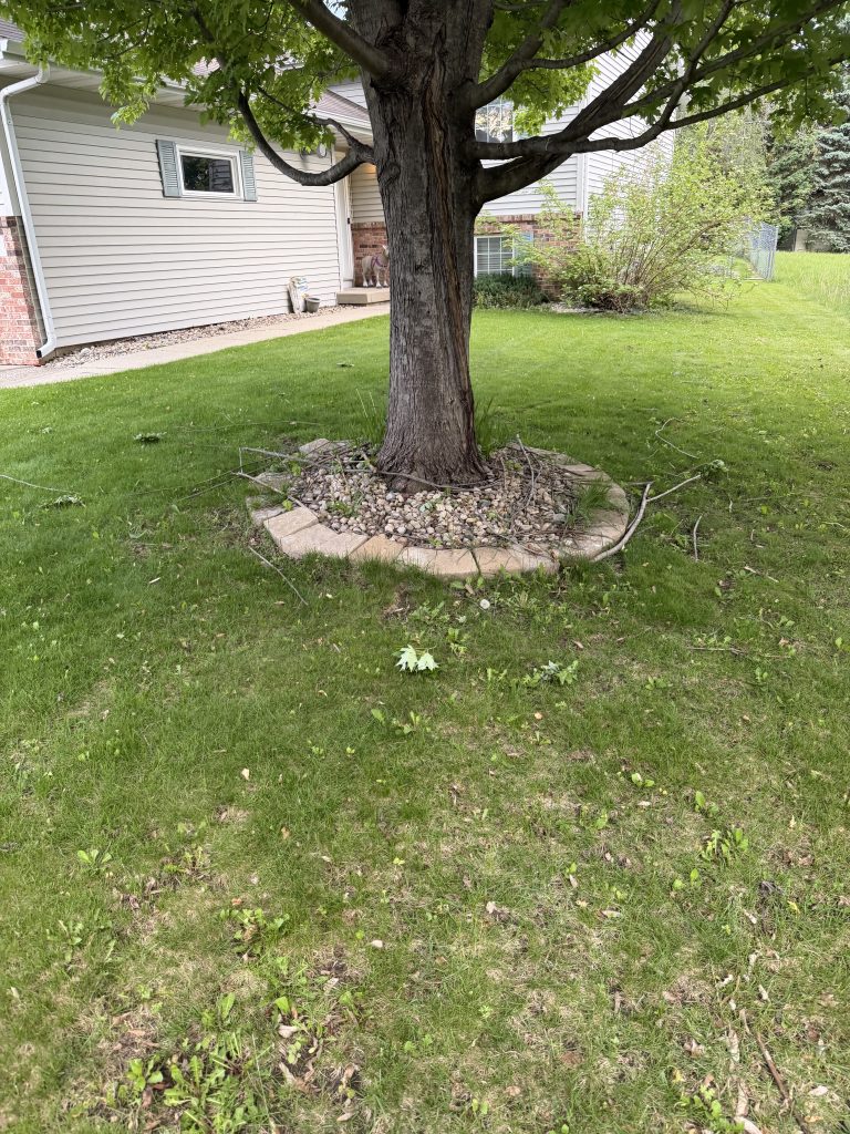 Rock to Mulch