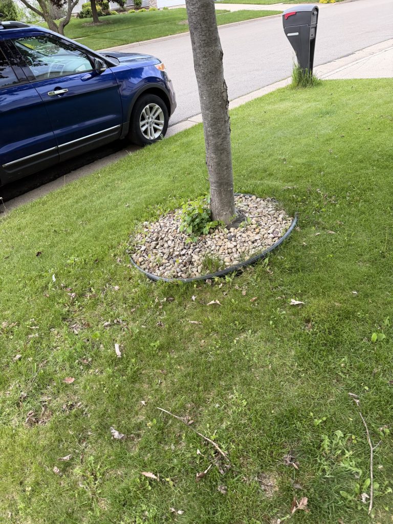Rock to Mulch