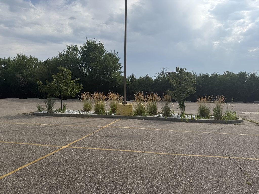 Commercial Bed Cleanup