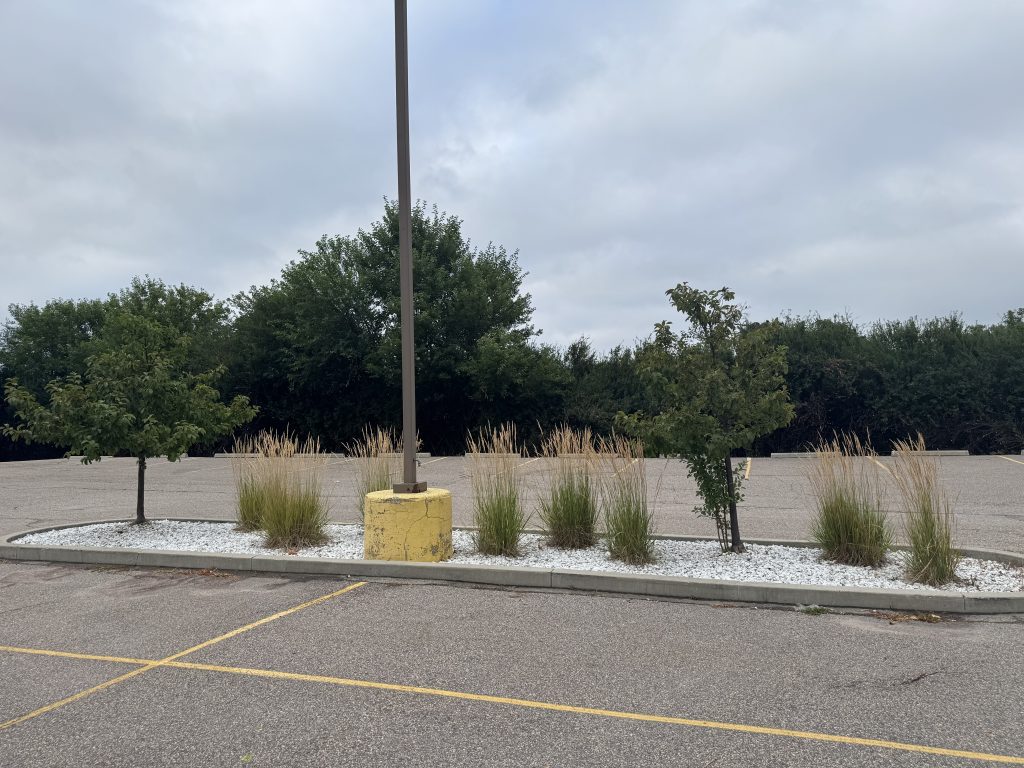 Commercial Bed Cleanup